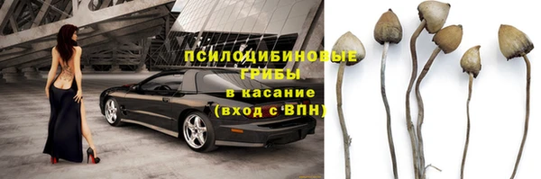 стаф Алексеевка
