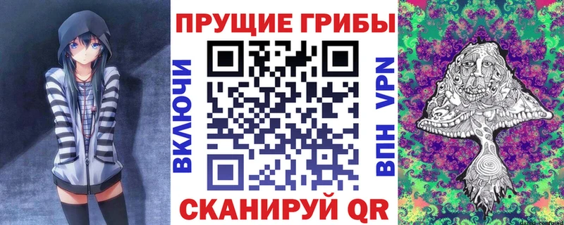 купить  сайты  Данков  Галлюциногенные грибы ЛСД 